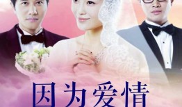 因为爱情有多美电视剧全集在线观看,重温经典爱情故事，感受真挚情感共鸣