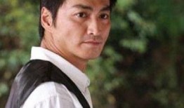 何家劲爆料娱乐圈,一场惊心动魄的爆料风暴